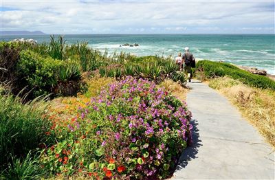 Cliff Walk in Hermanus